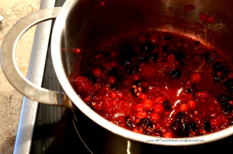 berries-in-pot-recipe-for-witch-fingers-with-blood